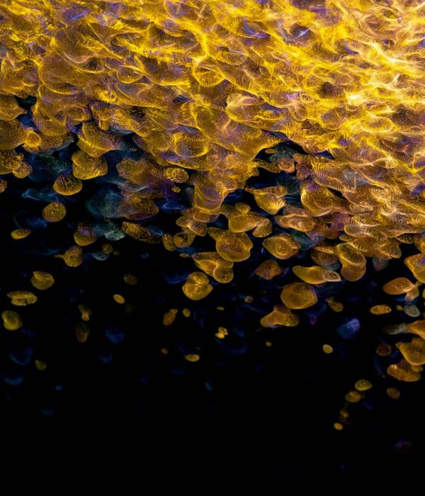 Flowing abstract shapes representing energy and movement